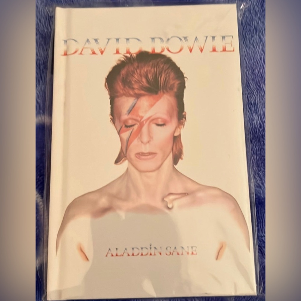 DAVID BOWIE | ALADDIN SANE - Small 80 paged journal